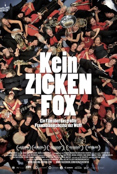 Filmplakat für "Kein Zickenfox"