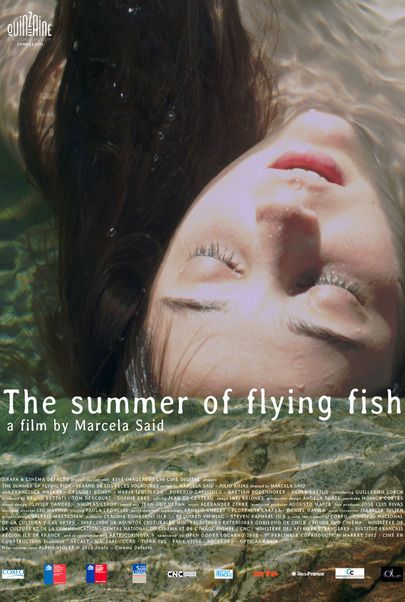 Filmplakat für "Der Sommer der fliegenden Fische - Cinespanol 4"