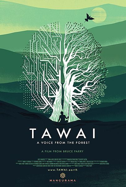Movie poster for "TAWAI: A VOICE FROM THE FOREST"