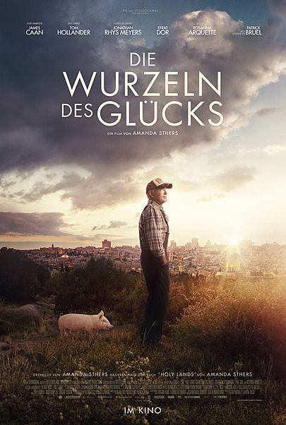 Movie poster for "HOLY LANDS"