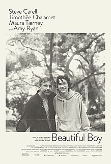 Movie poster for "BEAUTIFUL BOY"