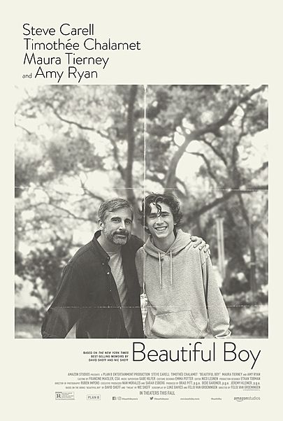 Movie poster for "BEAUTIFUL BOY"