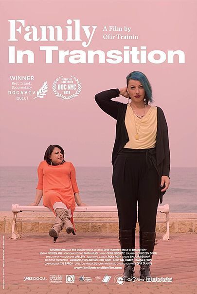 Movie poster for "FAMILY IN TRANSITION"
