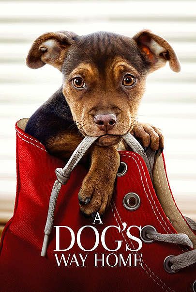 Movie poster for "A DOG'S WAY HOME"