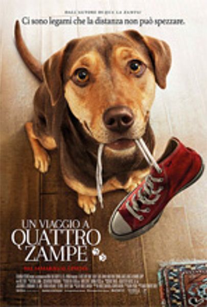 Movie poster for "UN VIAGGIO A QUATTRO ZAMPE"