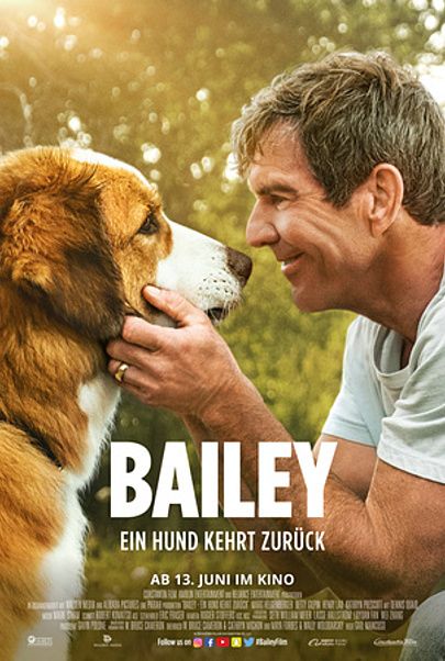 Filmplakat für "Bailey - Ein Hund kehrt zurück"
