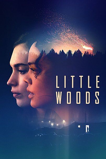 Movie poster for "LITTLE WOODS"