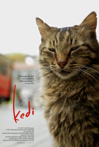 Movie poster for "KEDI (2016)"