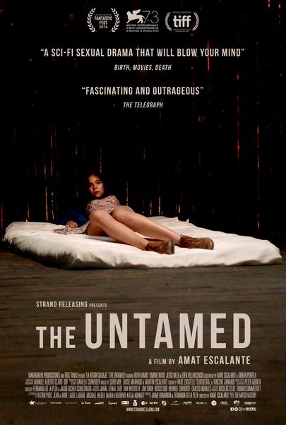 Movie poster for "THE UNTAMED"